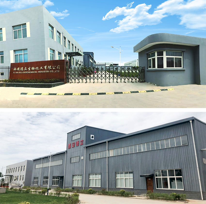 Xi'an Deli Biochemical Industry Co., Ltd: Ledende innovasjon innen cyclodextrin -derivater, og styrker legemiddelindustrien som styrker legemiddelindustrien