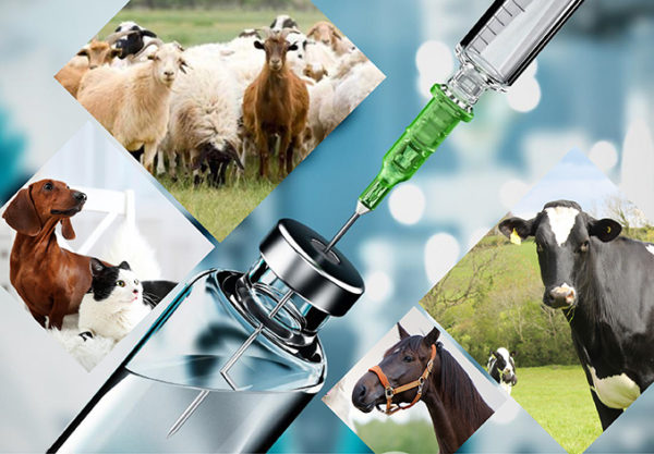 Forbedre veterinærmedisiner med hydroxypropyl betadex
